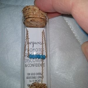 NIP Kris Nations Necklace Turquoise